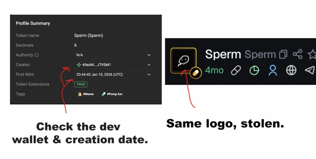 Solscan proof — OG dev wallet and creation date vs stolen logo